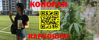каннабис Будённовск