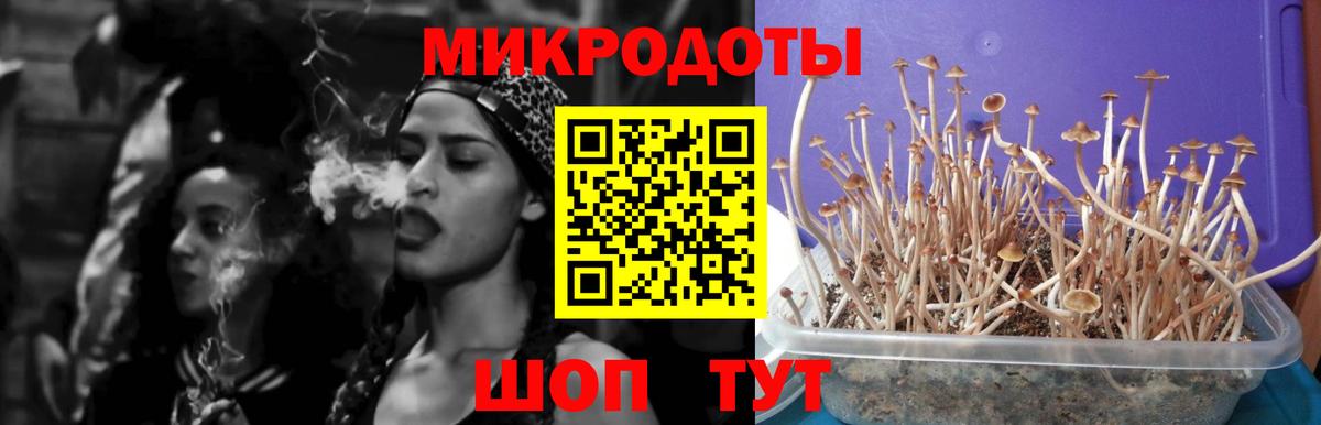Галлюциногенные грибы мухоморы  Вход с VPN  Учалы  Псилоцибиновые грибы MAGIC MUSHROOMS 